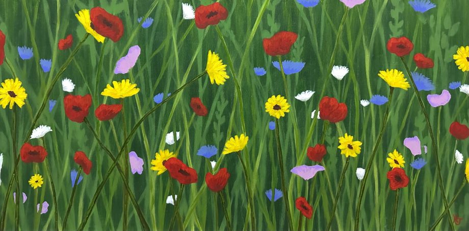 Field of Wildflowers