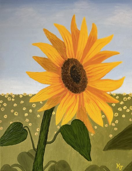 Sunflower