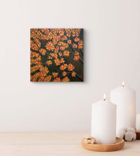 A Touch of Fall