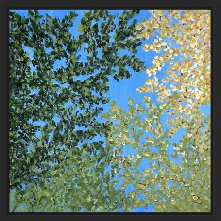 Leaves Looking Up